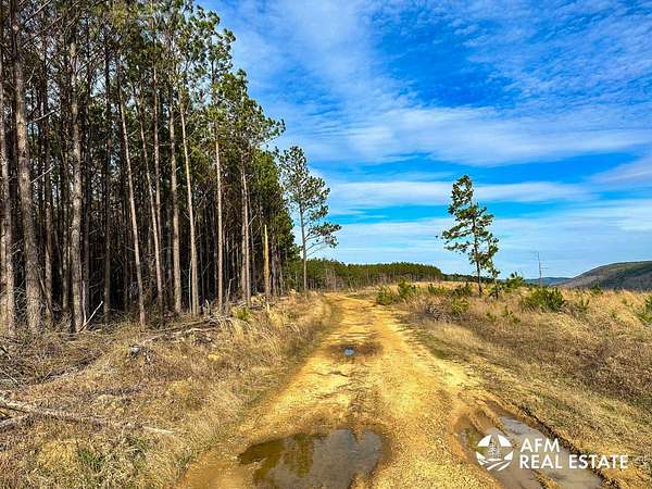 104 Acres of Recreational Land for Sale in Honobia, Oklahoma