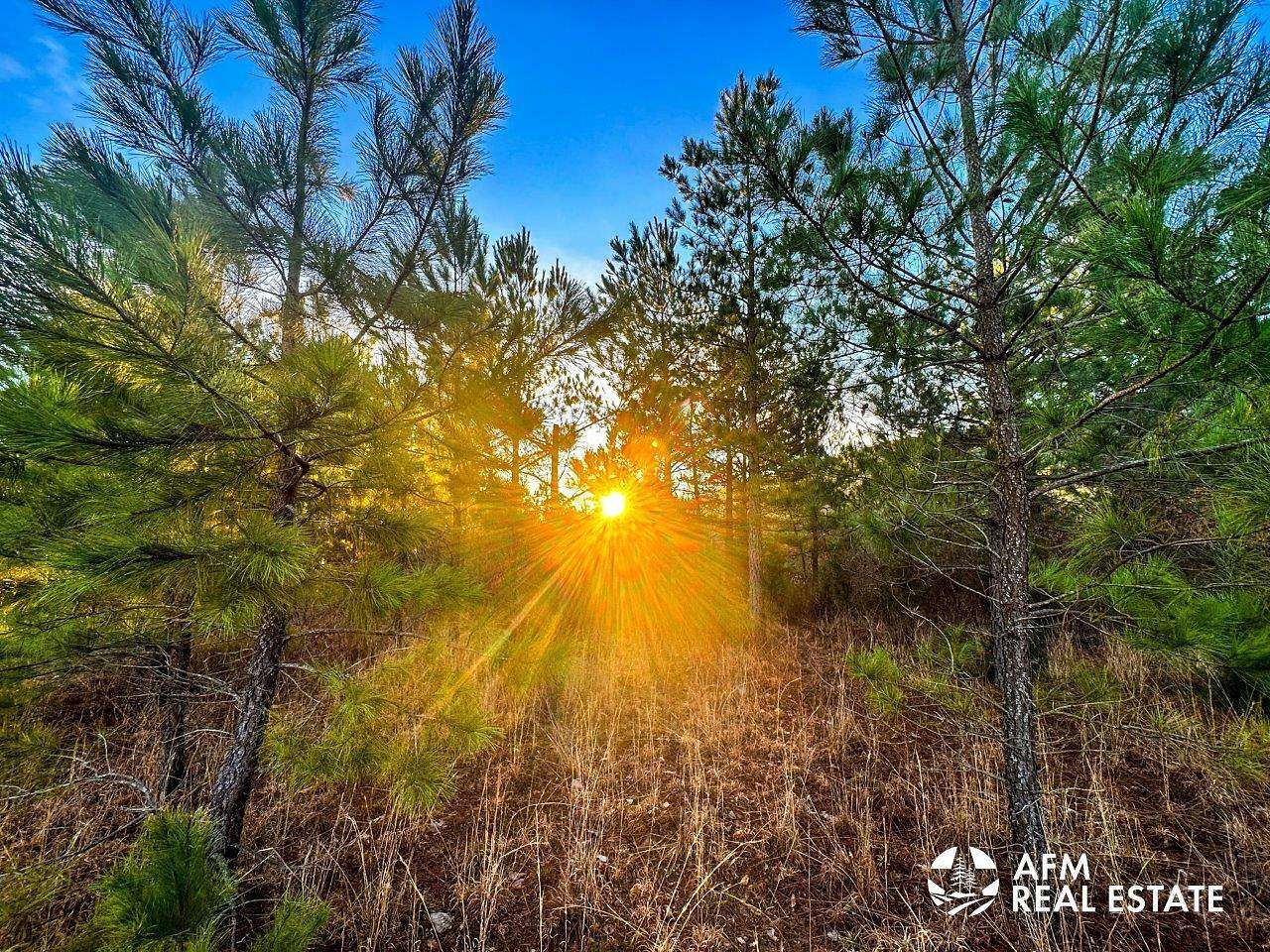 99.4 Acres of Recreational Land for Sale in Honobia, Oklahoma