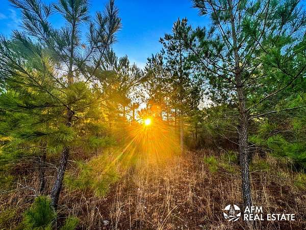 99.4 Acres of Recreational Land for Sale in Honobia, Oklahoma