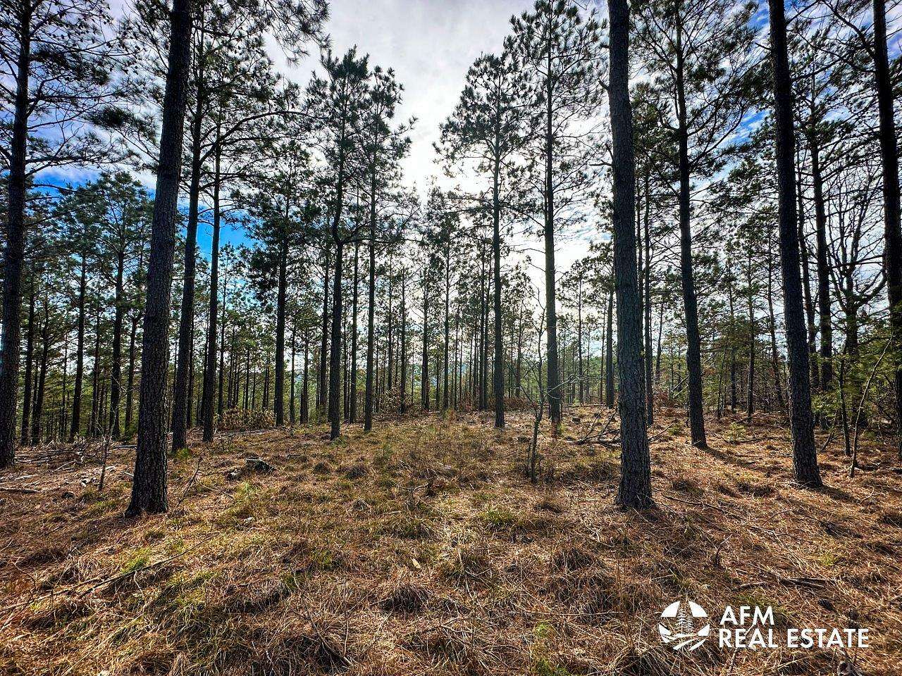 86.6 Acres of Recreational Land for Sale in Honobia, Oklahoma