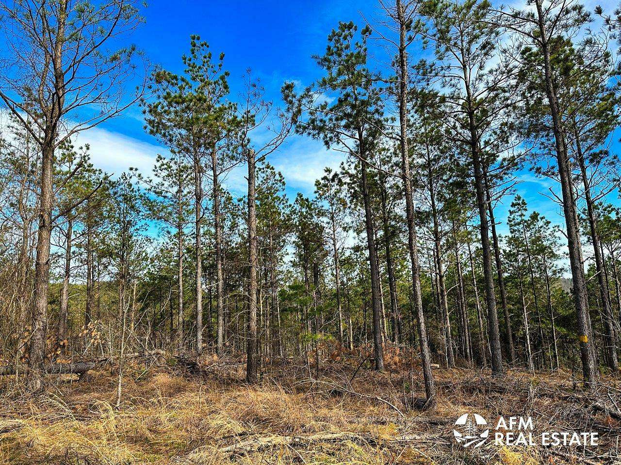 79.7 Acres of Recreational Land for Sale in Honobia, Oklahoma