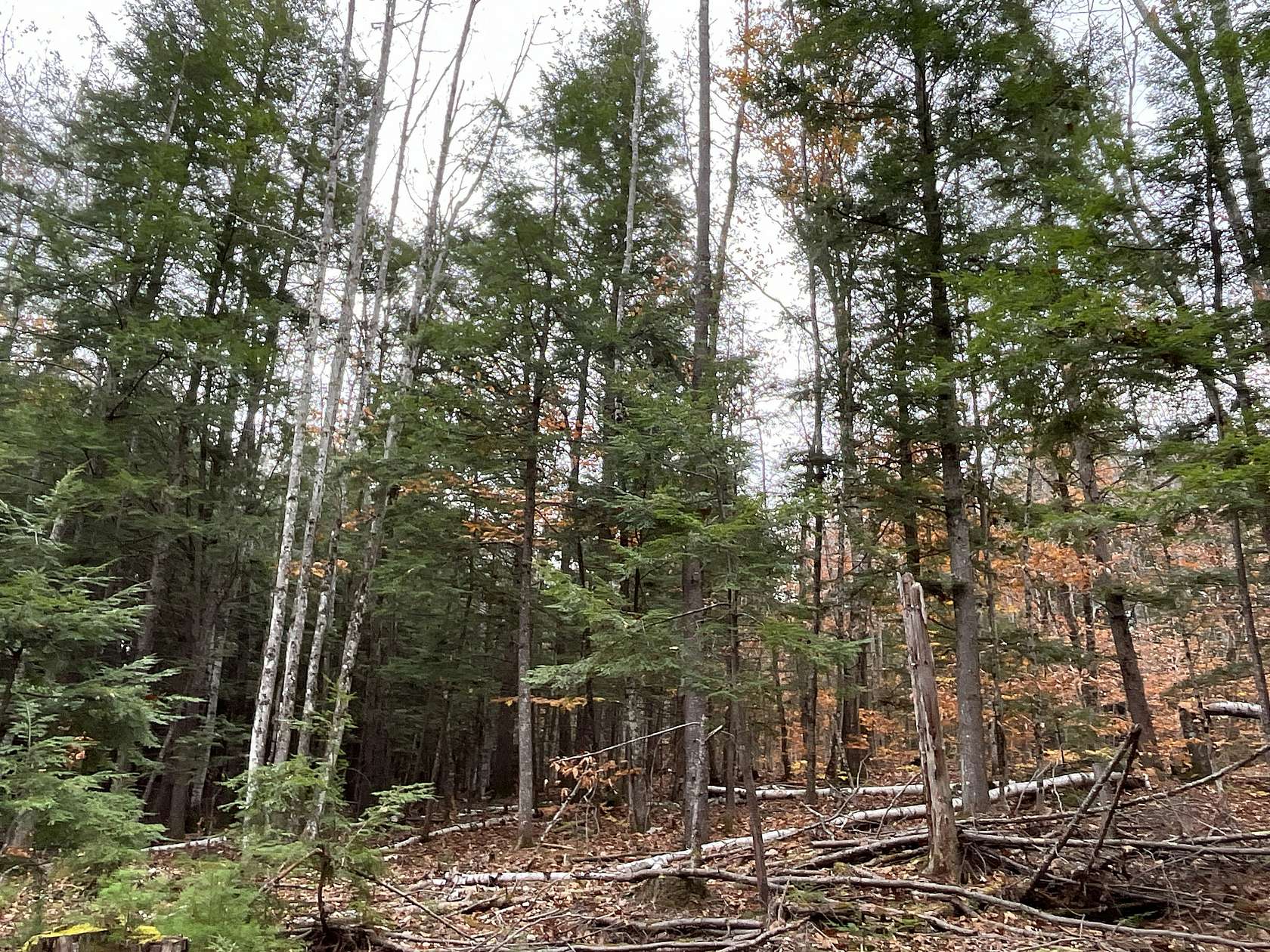 7.55 Acres of Land for Sale in Lovell, Maine