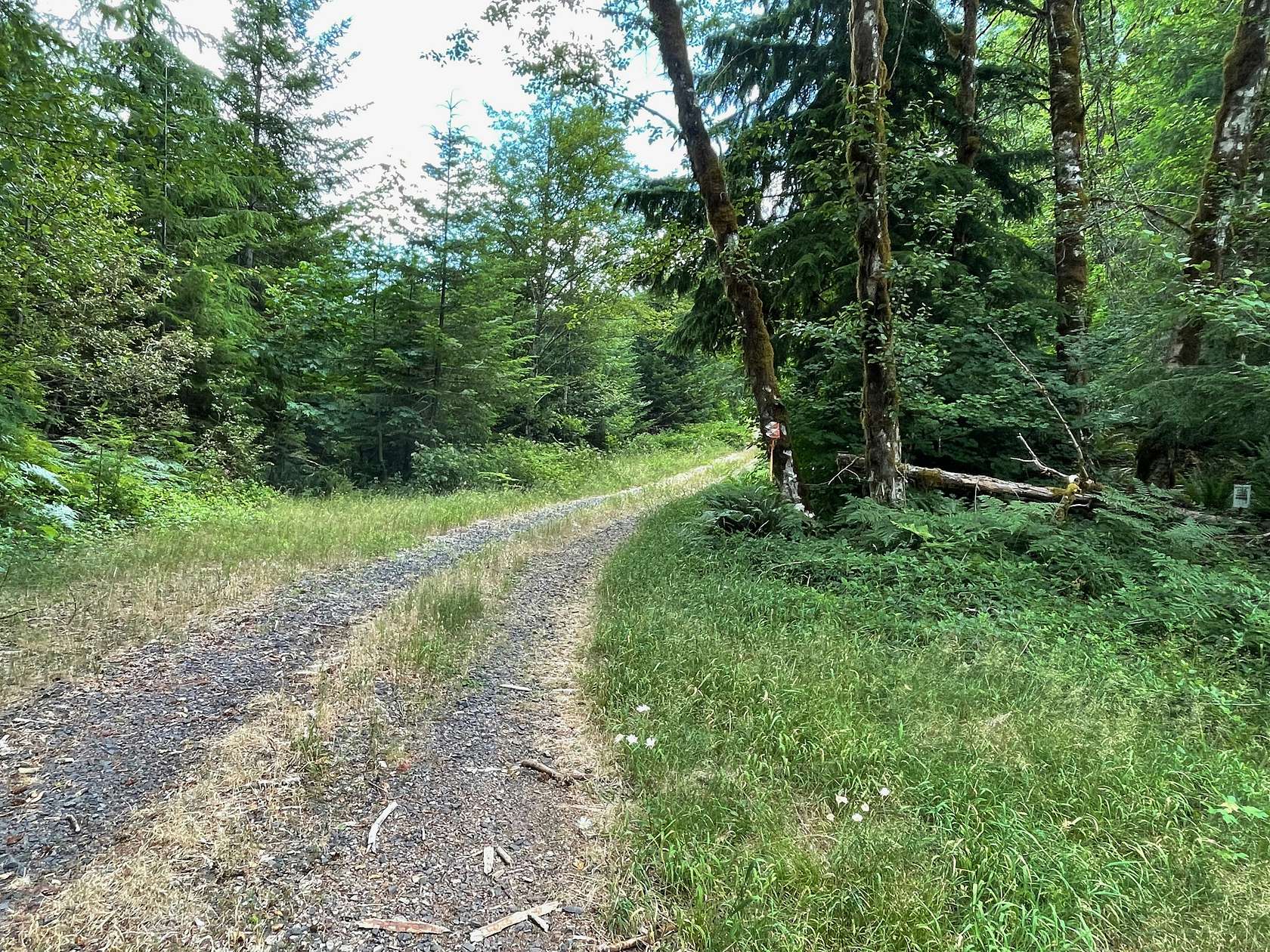 40 Acres of Recreational Land for Sale in Sweet Home, Oregon