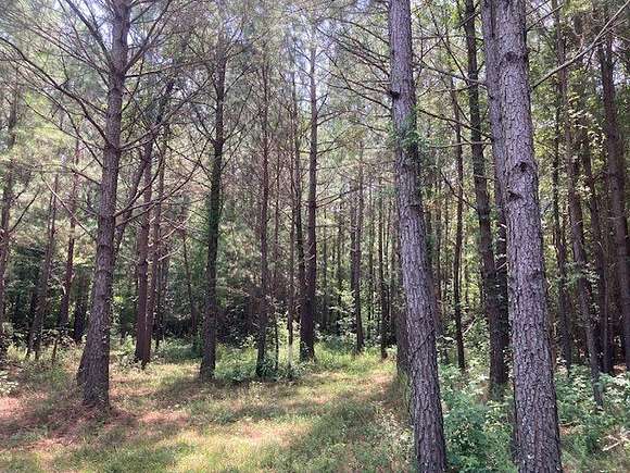 178 Acres of Recreational Land for Sale in Cheraw, South Carolina