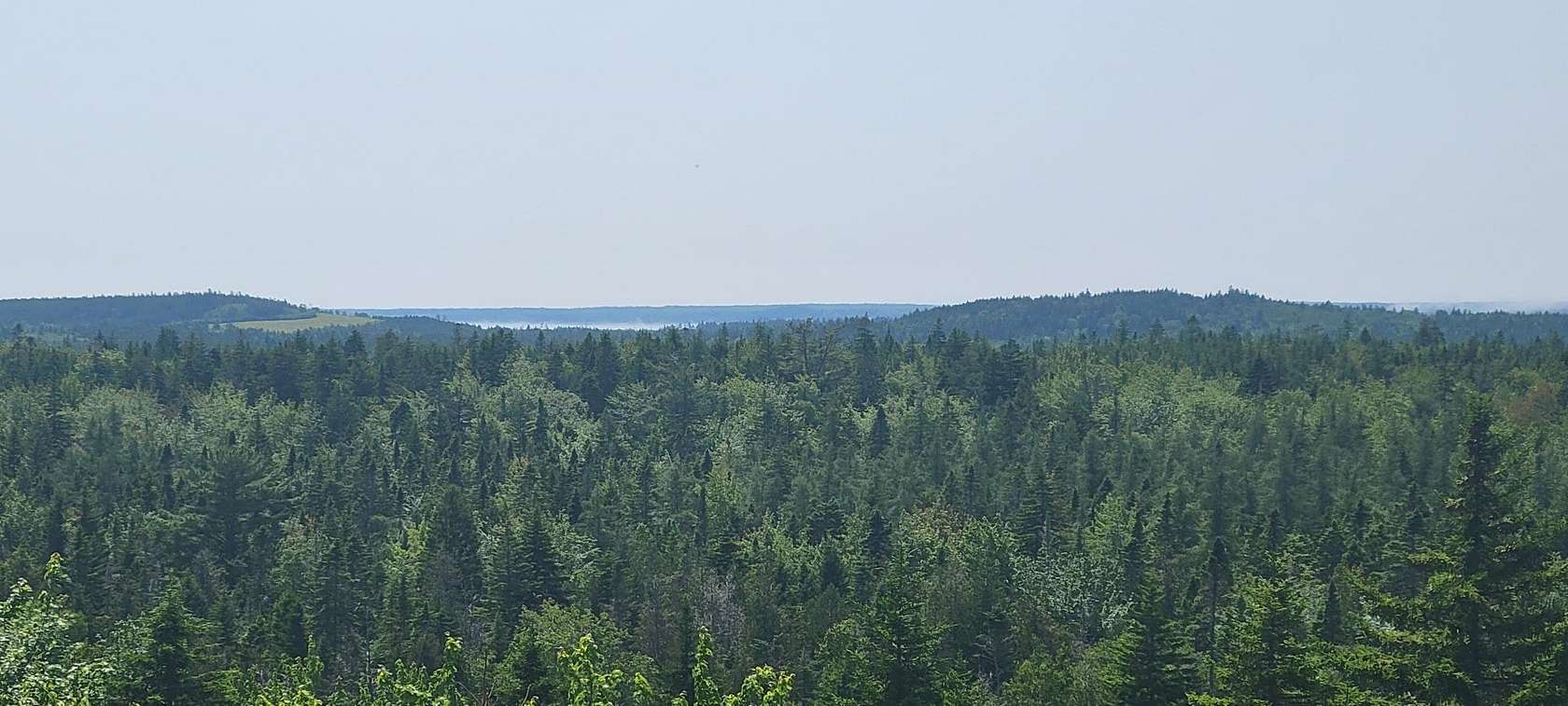 54 Acres of Recreational Land & Farm for Sale in Roque Bluffs, Maine