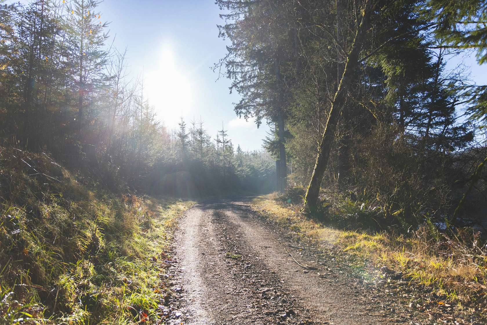 58.9 Acres of Recreational Land for Sale in Eddyville, Oregon