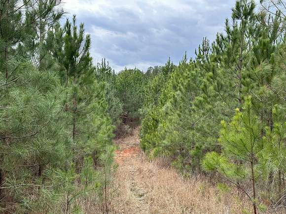 268 Acres of Land for Sale in Richburg, South Carolina