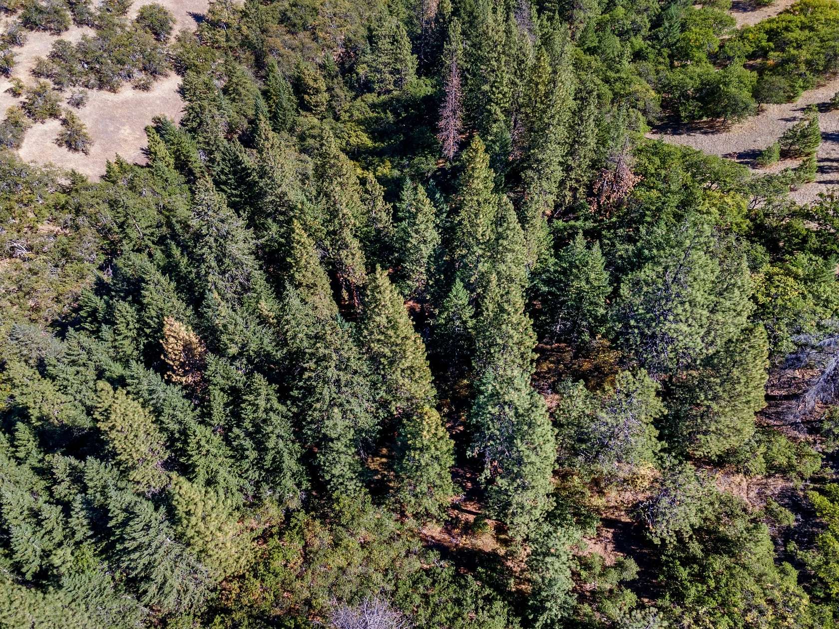 78.2 Acres of Recreational Land for Sale in Ashland, Oregon