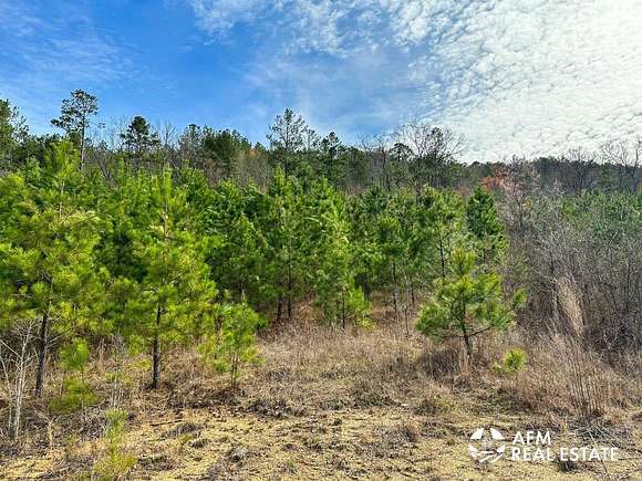 21.73 Acres of Recreational Land for Sale in Honobia, Oklahoma