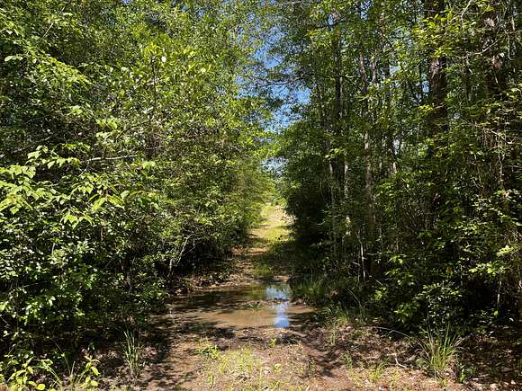 242.2 Acres of Recreational Land for Sale in Bonifay, Florida