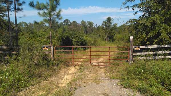 519 Acres of Recreational Land for Sale in Chipley, Florida