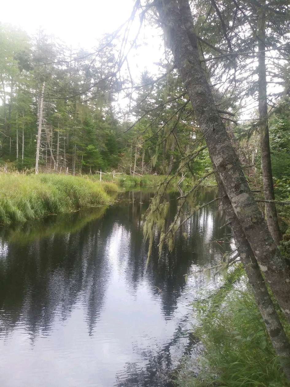 750 Acres of Recreational Land for Sale in Steuben, Maine