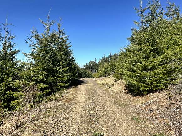 116.75 Acres of Recreational Land for Sale in North Plains, Oregon