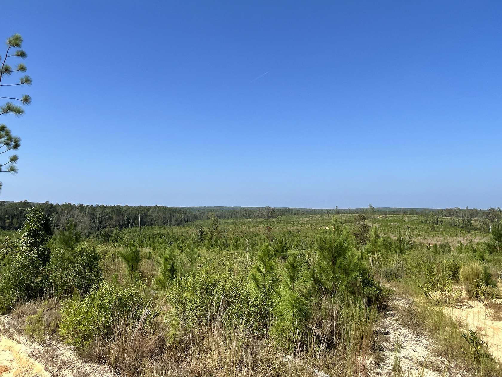 653.7 Acres of Recreational Land for Sale in Bay Minette, Alabama