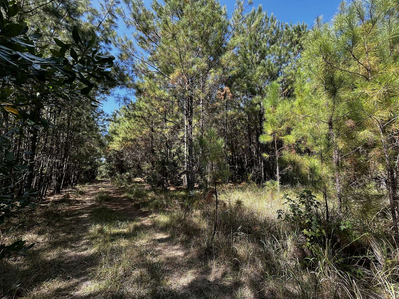 653.7 Acres of Recreational Land for Sale in Bay Minette, Alabama