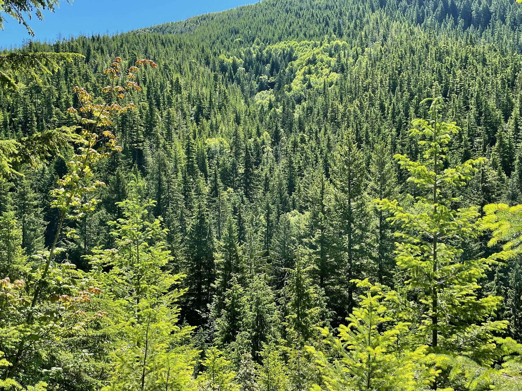 280 Acres of Recreational Land for Sale in Estacada, Oregon