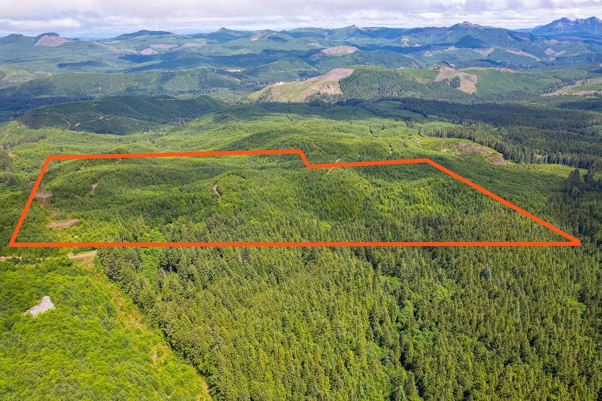 231 Acres of Recreational Land for Sale in Seaside, Oregon