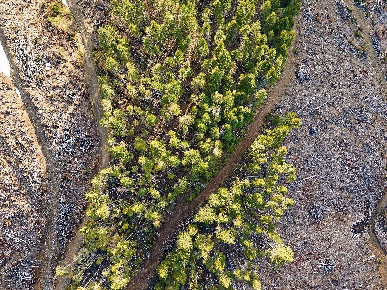 160 Acres of Recreational Land for Sale in Williams, Oregon