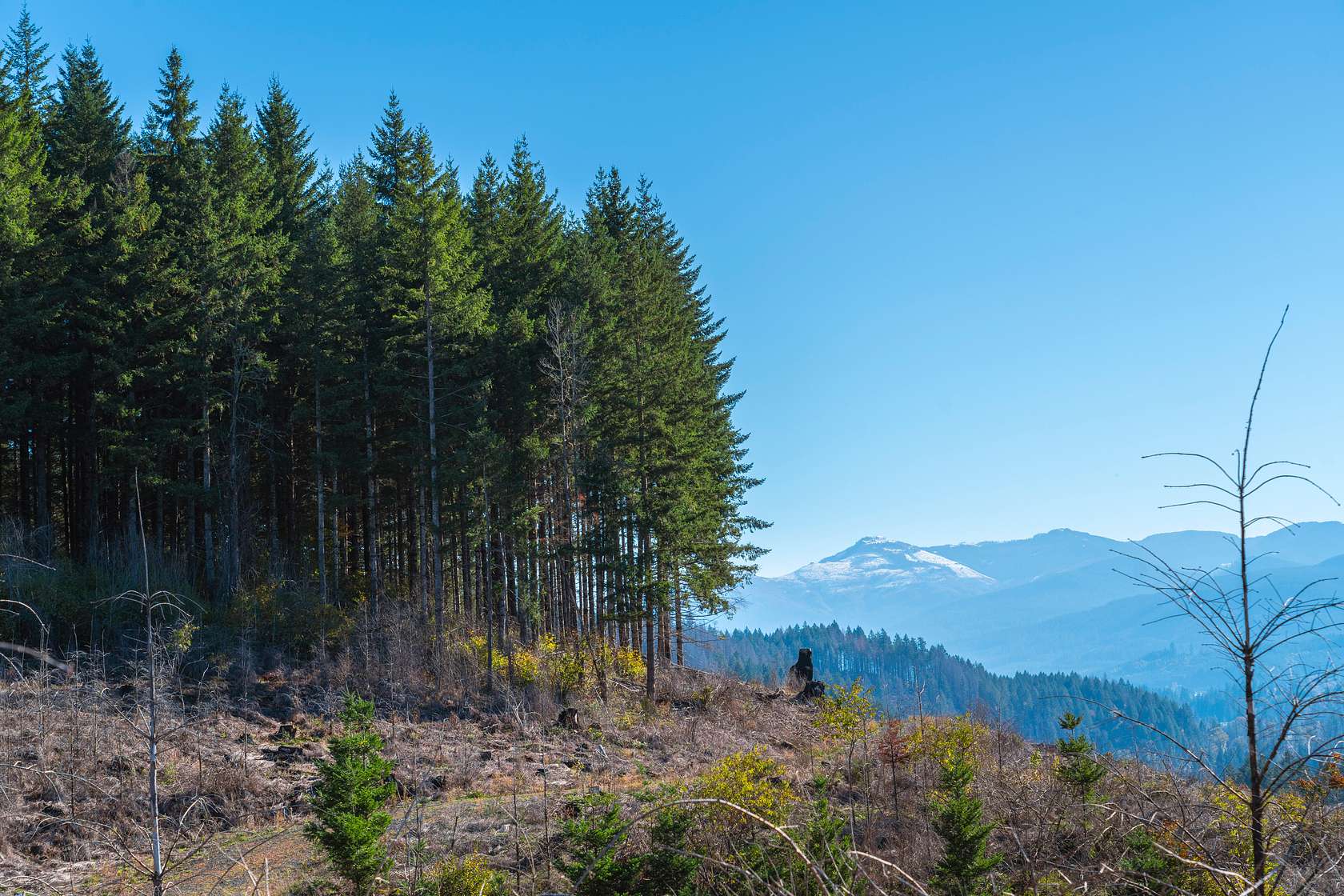 72 Acres of Recreational Land for Sale in Gates, Oregon