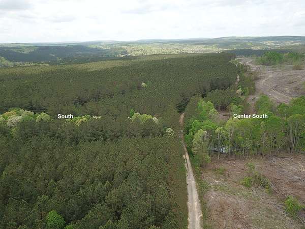 97 Acres of Recreational Land for Sale in Sale Creek, Tennessee