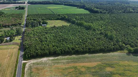 279 Acres of Recreational Land for Sale in Rowland, North Carolina