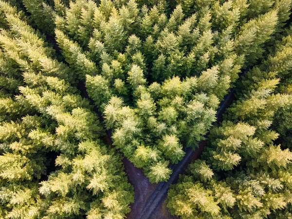 162 Acres of Recreational Land for Sale in Cottage Grove, Oregon