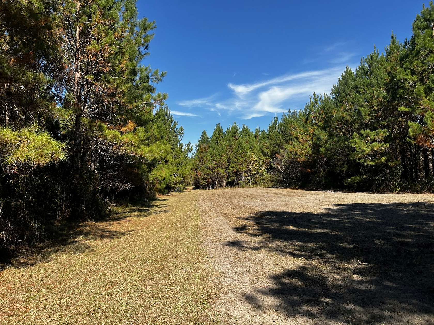 538.28 Acres of Recreational Land for Sale in Aarons Place, Florida