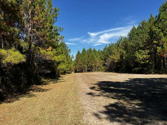 538.28 Acres of Recreational Land for Sale in Aarons Place, Florida