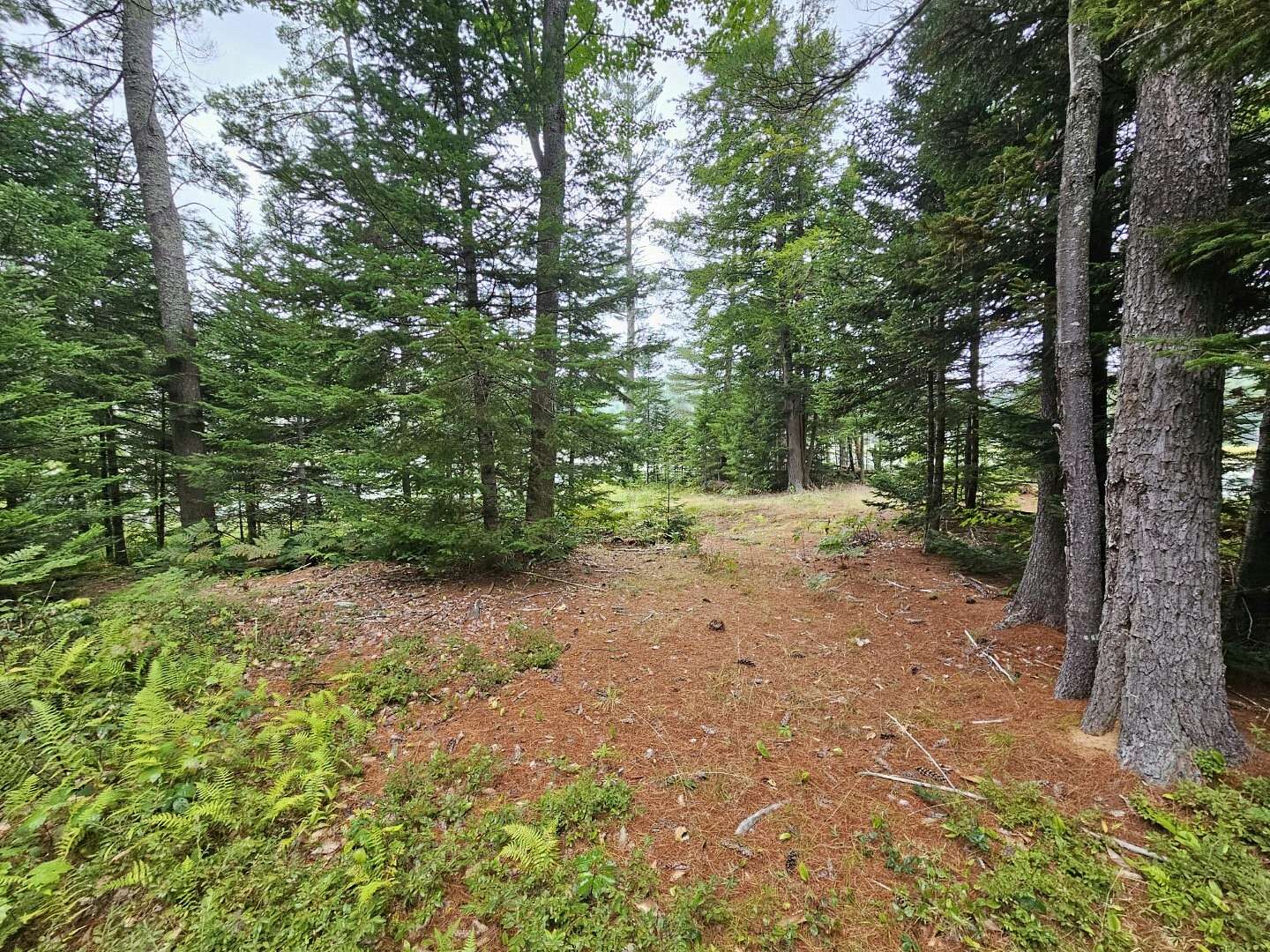 282 Acres of Recreational Land for Sale in Rome, Maine