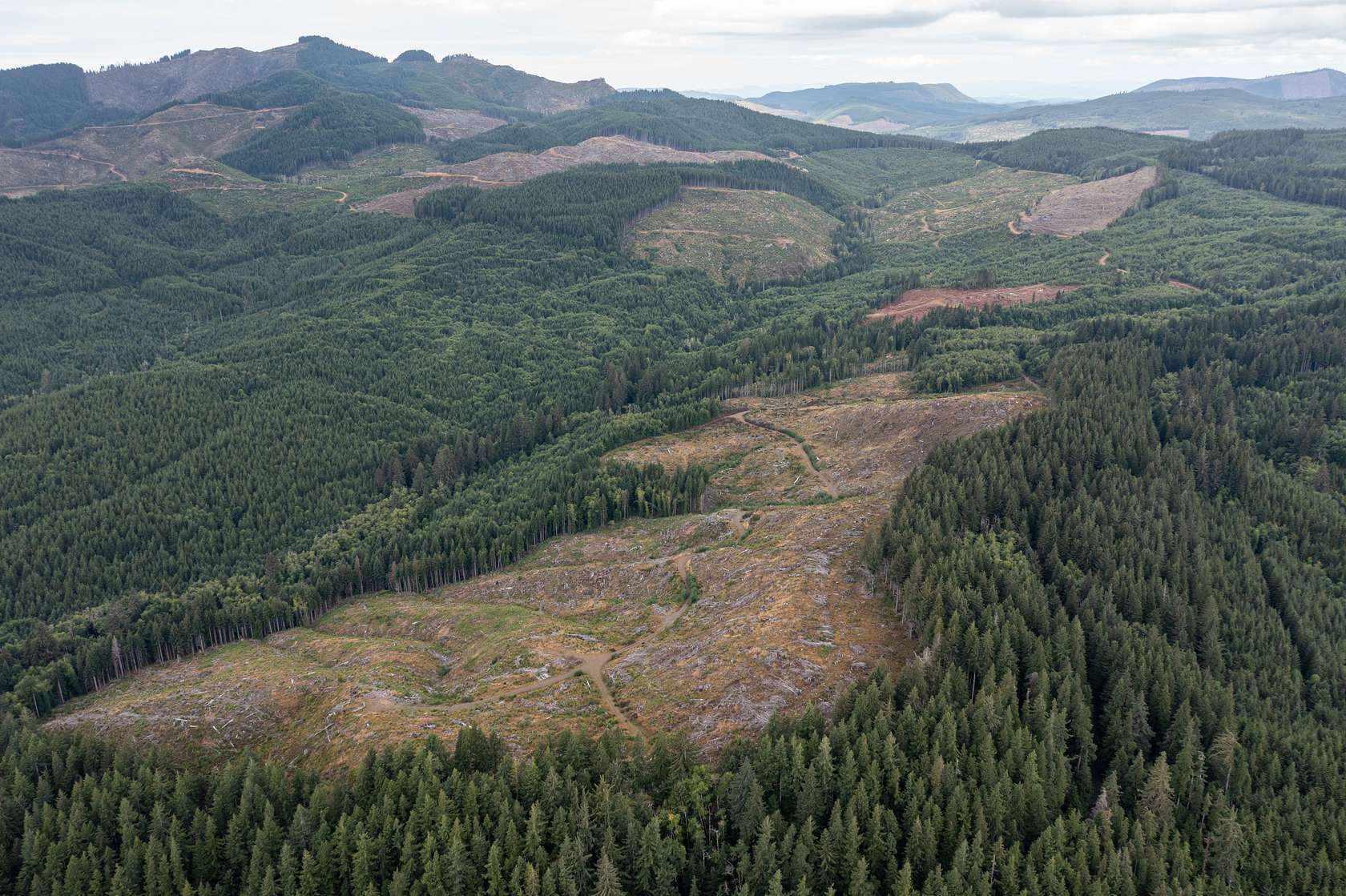 347 Acres of Recreational Land for Sale in Seaside, Oregon