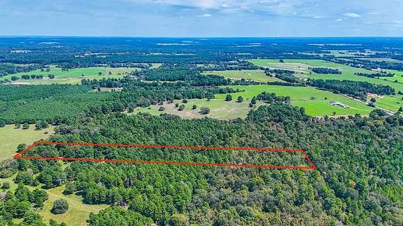 7.1 Acres of Residential Land for Sale in Grapeland, Texas