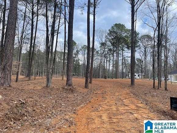 1 Acre of Residential Land for Sale in Chelsea, Alabama