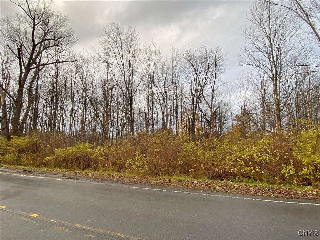 15.33 Acres of Land for Sale in New Hartford, New York