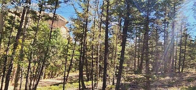 2 Acres of Residential Land for Sale in Florissant, Colorado