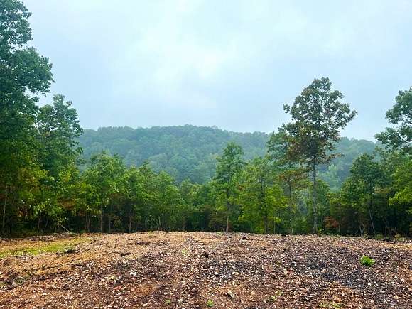 20.1 Acres of Recreational Land for Sale in Mountain View, Arkansas