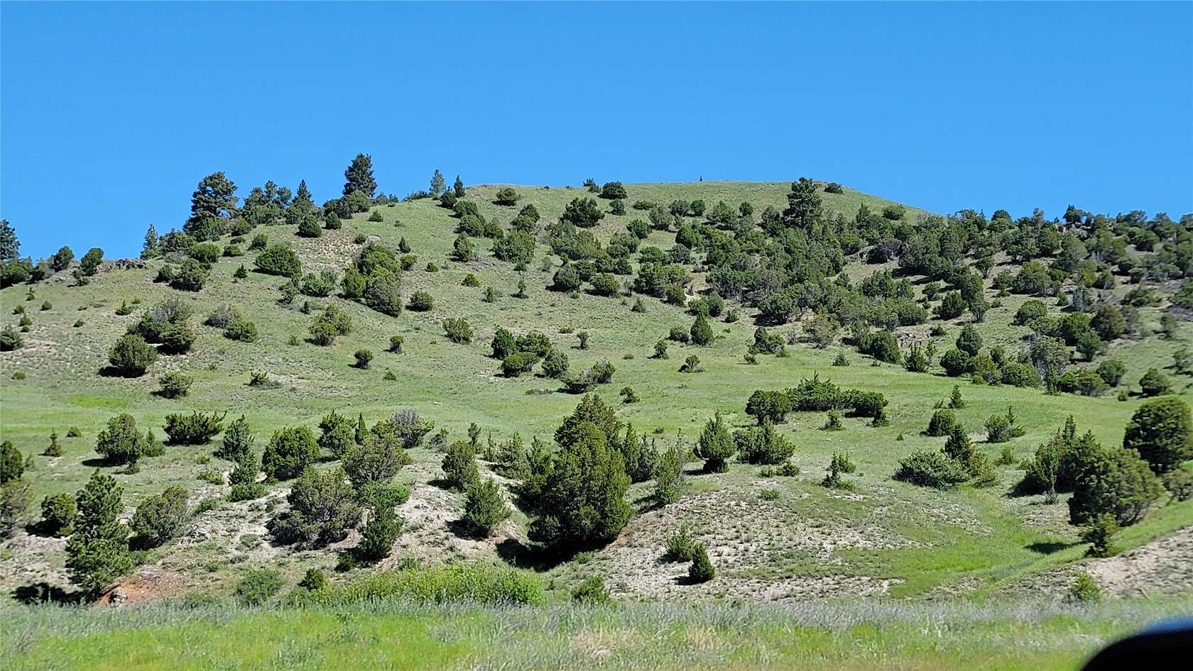 58.13 Acres of Recreational Land for Sale in Garrison, Montana