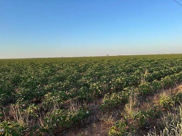 320 Acres of Land for Sale in Lubbock, Texas