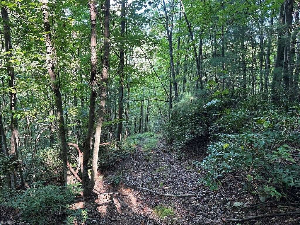 181 Acres of Recreational Land for Sale in Moravian Falls, North Carolina