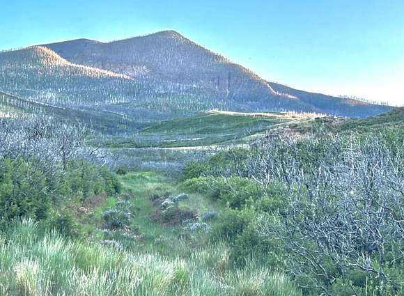 40.19 Acres of Land for Sale in Walsenburg, Colorado