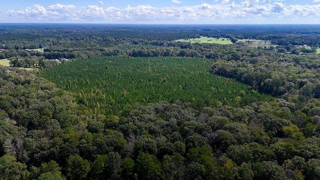 117 Acres of Land for Sale in Summit, Mississippi