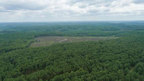 720 Acres of Land for Sale in Townley, Alabama