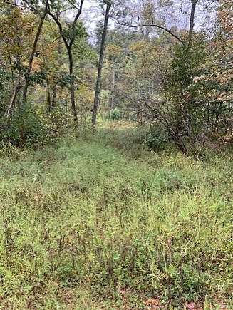 33.978 Acres of Recreational Land & Farm for Sale in Fredericktown, Missouri