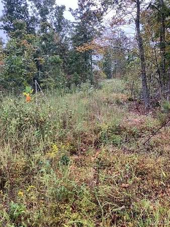 10.2 Acres of Agricultural Land for Sale in Fredericktown, Missouri