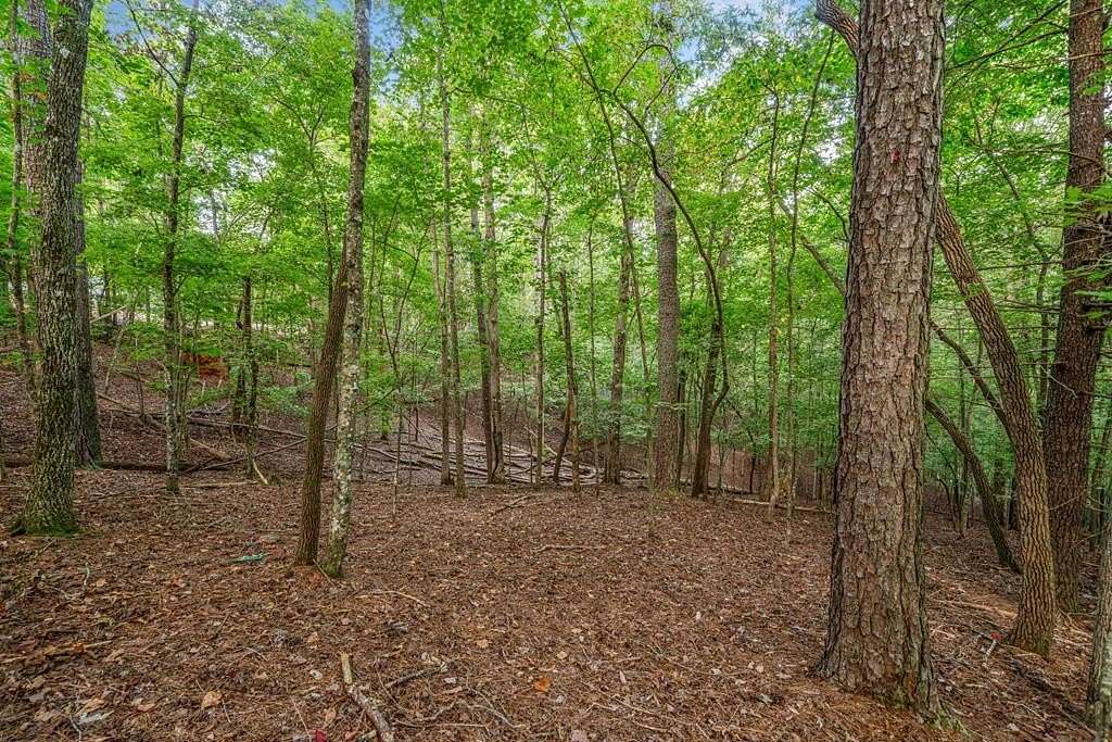 0.93 Acres of Residential Land for Sale in Ellijay, Georgia