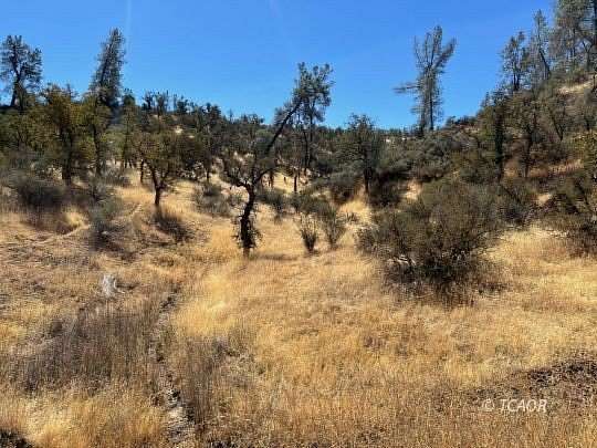 40.1 Acres of Recreational Land & Farm for Sale in Ono, California