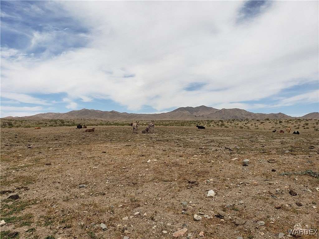 10 Acres of Land for Sale in Dolan Springs, Arizona