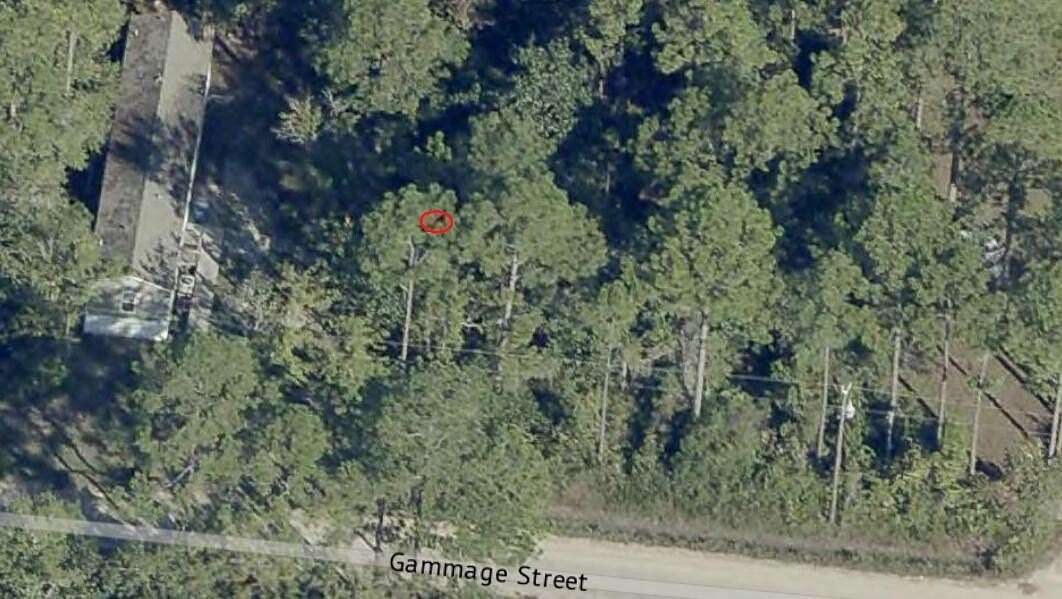 0.09 Acres of Residential Land for Sale in Santa Rosa Beach, Florida