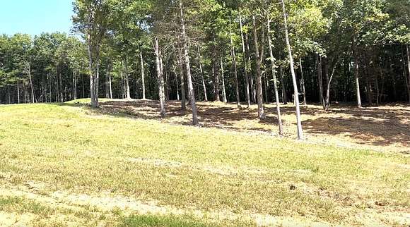 Residential Land for Sale in Morganton, Georgia