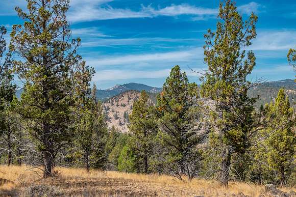 156.13 Acres of Recreational Land for Sale in Prineville, Oregon