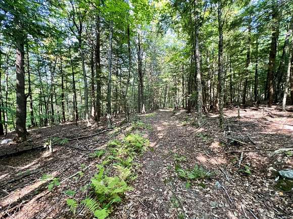 56 Acres of Recreational Land for Sale in Charlestown, New Hampshire